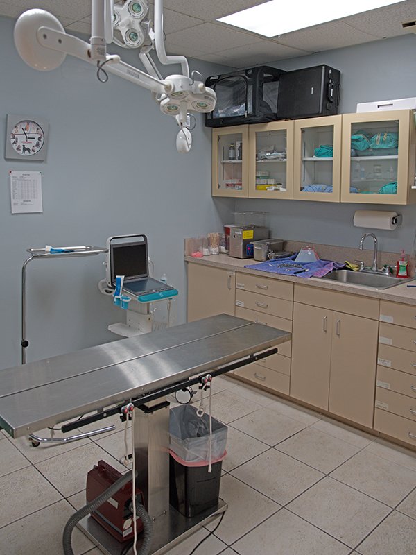 Hospital Tour - The Animal Clinic of Wekiva